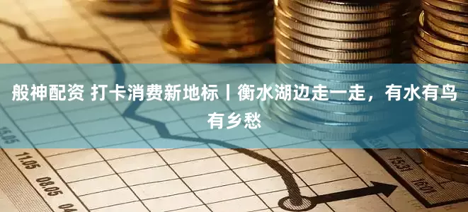 般神配资 打卡消费新地标丨衡水湖边走一走，有水有鸟有乡愁
