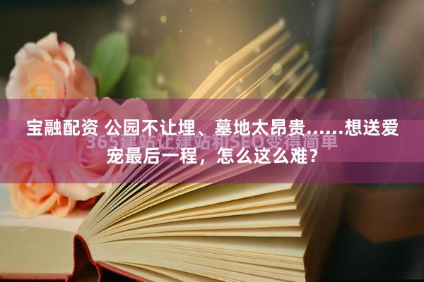 宝融配资 公园不让埋、墓地太昂贵......想送爱宠最后一程，怎么这么难？